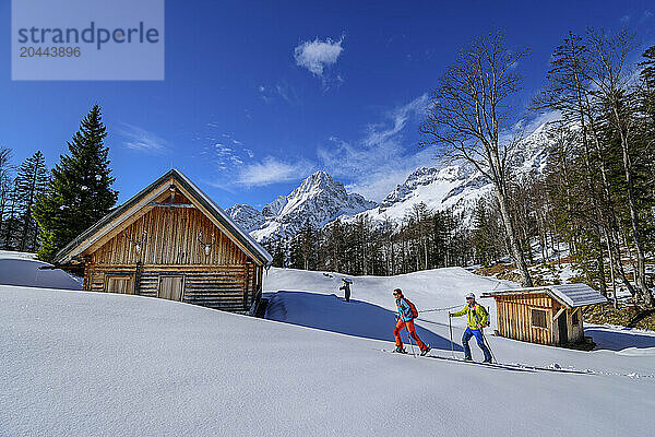 Man and woman back country skiing towards Arzlochscharte near huts  Totes Gebirge  Upper Austria  Austria