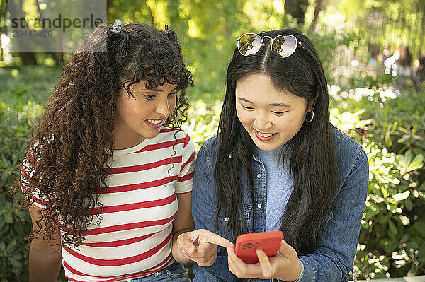 Smiling young woman sharing smartphone with friend