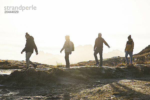 Norway  Nordland County  Group of young people hiking against setting sun in Lofoten islands