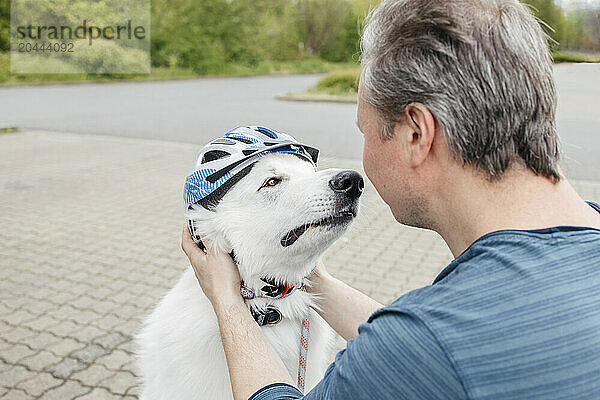 Man putting helmet on dog at sidewalk