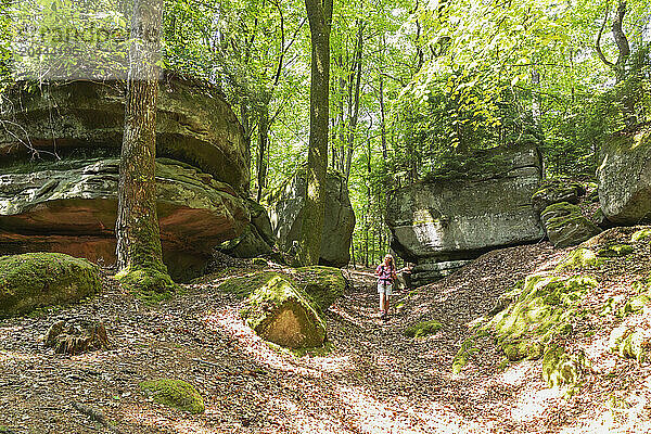 Woman hiking in forest of Eifel national park at Rhineland  Germany