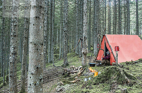 Senior man camping near bonfire in forest