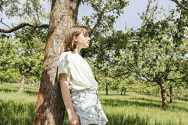 Thoughtful girl leaning on tree trunk in apple orchard