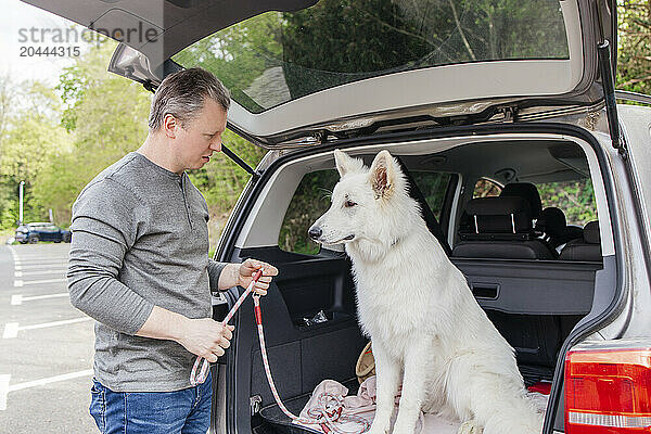 Man with white dog sitting in car trunk