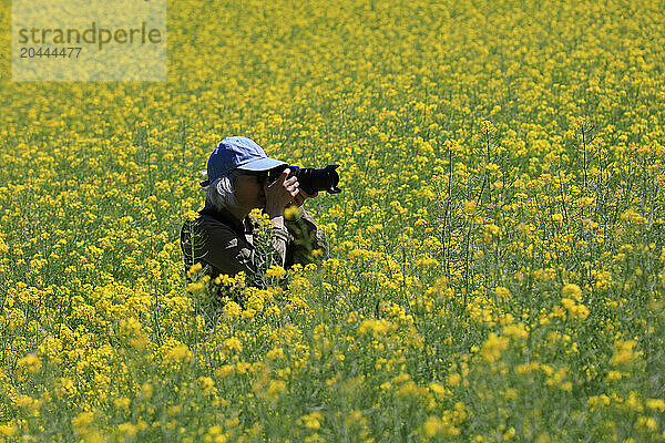 Woman amidst flowers photographing at rapeseed field