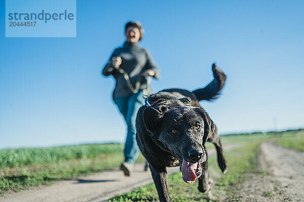 Dog running with mature woman on dirt road