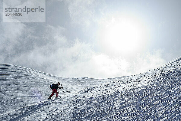 Man back country skiing at Hollensteinkar in snowstorm  Tux  Zillertal Alps  Tyrol  Austria