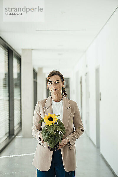 Beautiful businesswoman holding flower pot at office