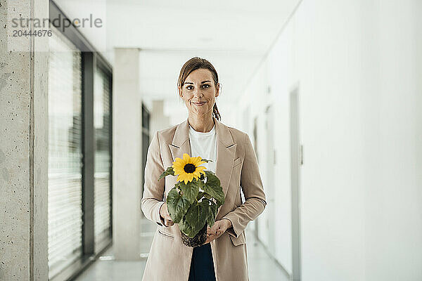 Businesswoman holding flower pot at office