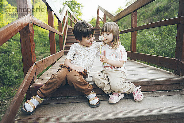 Cute boy and girl sitting on wooden steps at park