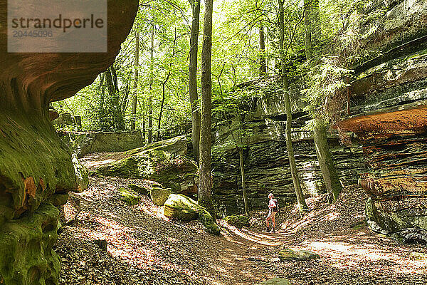 Senior woman hiking and looking at sandstone in forest of Eifel national park  Rhineland  Germany