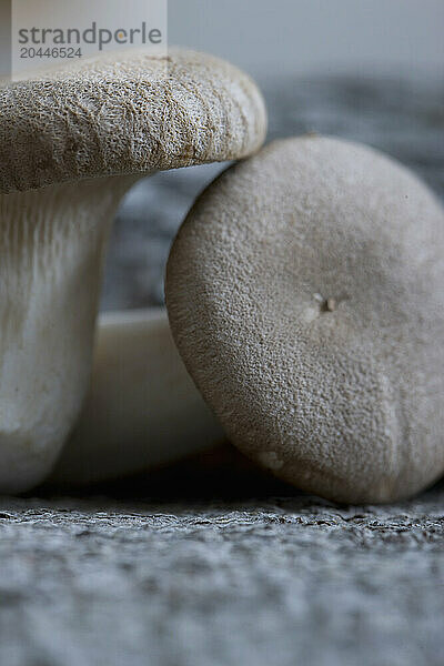 Extreme close up of eryngi mushrooms