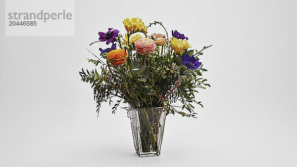 Beautiful multicolored flower bouquet in vase on white background