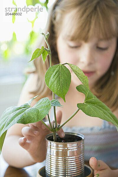 Girl Inspecting Plant