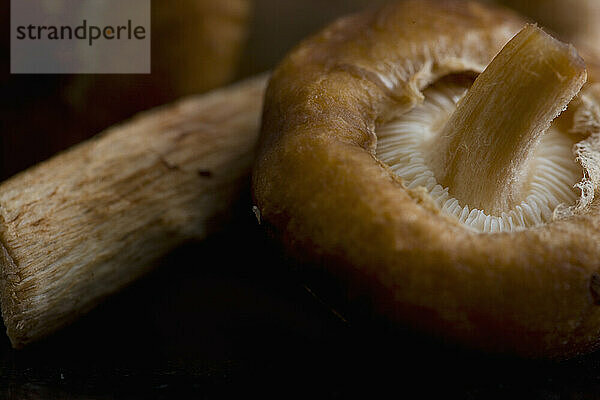 Extreme close up of shiitake mushrooms