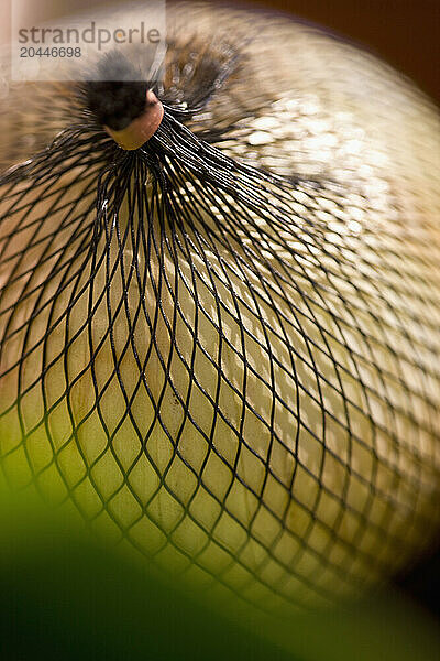 Extreme close up of an onion