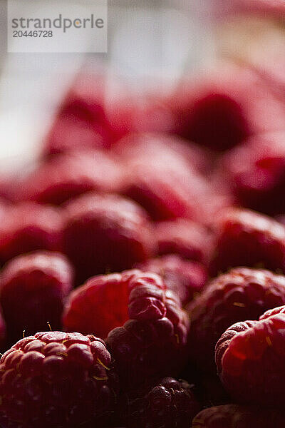 Extreme close up of raspberries