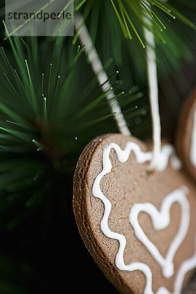 Close up of heart shaped biscuits hanging from Christmas tree