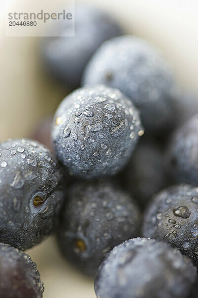 Extreme close up of blueberries