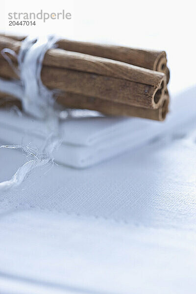 Cinnamon Sticks Tied up with White String