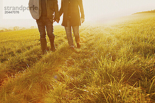 Couple Walking in a Field Holding Hands  Low Section