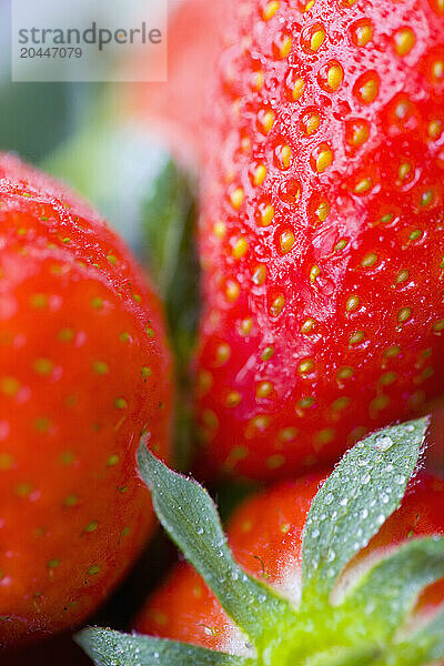 Extreme close up of strawberries