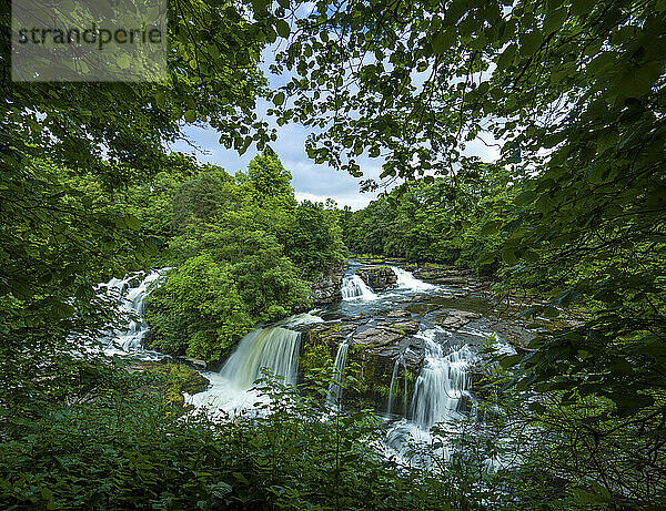 A serene waterfall cascades through lush greenery  framed by overhanging branches in a tranquil forest setting.