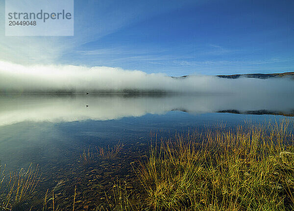 A serene lake reflects the mist and blue sky at sunrise  with golden grasses in the foreground. Loch Arkaig