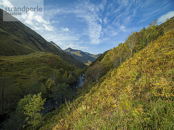 A scenic view of a lush valley with a river  vibrant flora  and a mountain range under a partly cloudy blue sky. Cairngorms National Park