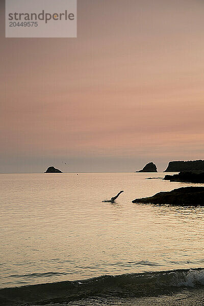 Twilight hues paint the sky and ocean in shades of pink and orange as rock formations punctuate the tranquil sea.