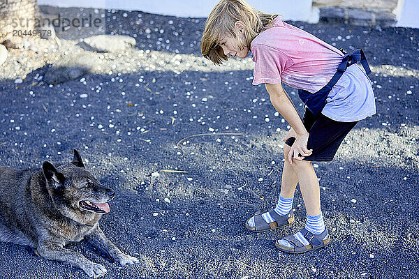 A joyful child plays with a friendly dog on a pebbly surface under a clear sky.