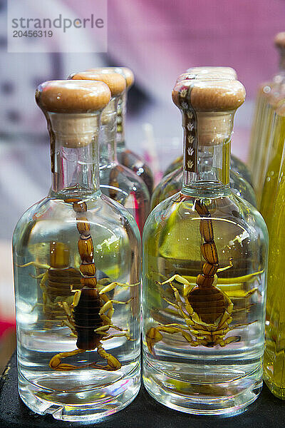 Bottles of Mezcal with Scorpions inside  Zocolo Market  Cholula  Puebla State  Mexico  North America