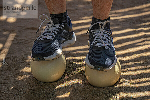 View of a visitor standing on an Ostrich at Safari Ostrich Farm  Oudtshoorn  Western Cape  South Africa  Africa