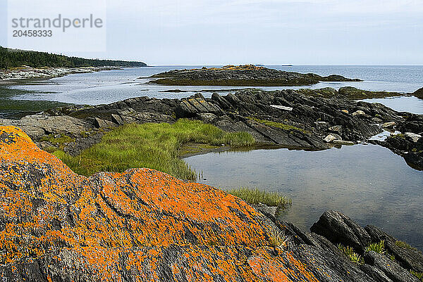 Warden cove  Ile aux Lievres  Saint-Laurent river  Quebec province  Canada  North America