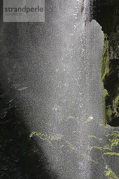 A waterfall backlit by the midday sun  in a gorge in Bossiney Haven  near Tintagel  Cornwall  England  United Kingdom  Europe