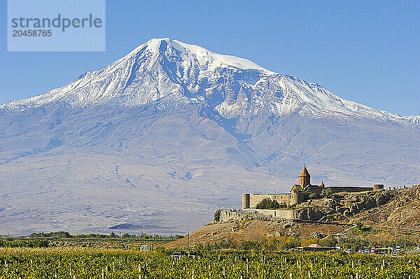 Vineyards in front of Khor Virap Monastery  Ararat plain  Mount Ararat in the background  Artashat  Armenia  Eurasia