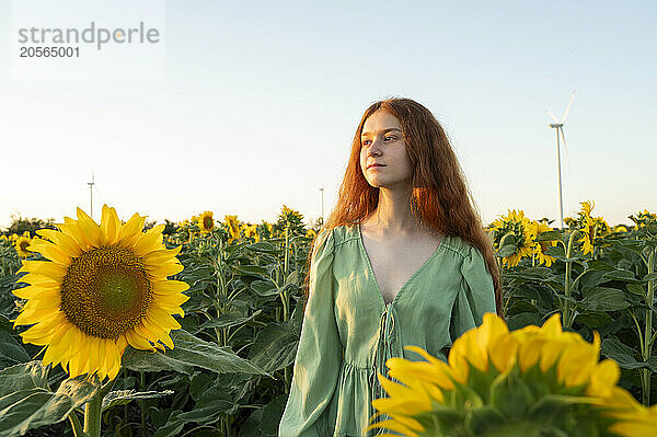 Teenage girl with red hair in sunflowers field and wind generators in the horizon