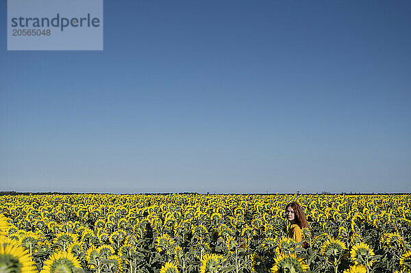 Teenage girl with red hair in a yellow dress in a field of sunflowers