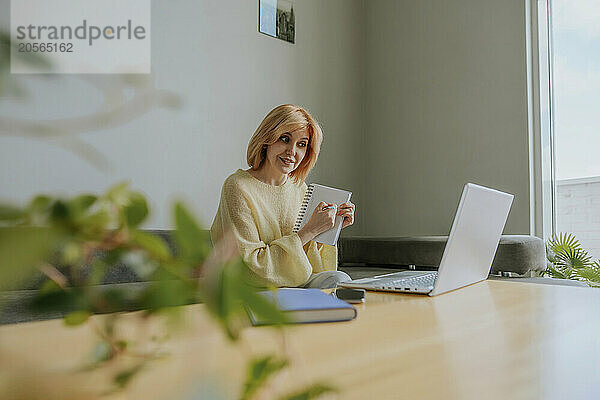 Businesswoman explaining on video call in living room