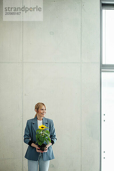 Smiling businesswoman standing with sunflower plant in front of gray wall at office lobby