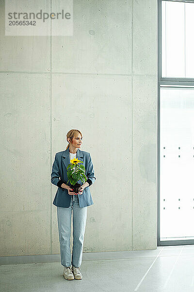 Businesswoman with sunflower plant standing in front of gray wall at office lobby