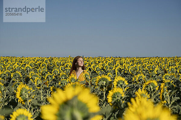 Teenage girl with red hair in a yellow dress in a field of sunflowers