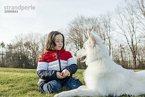 Boy spending leisure time with White Swiss Shepherd Dog on grass in meadow