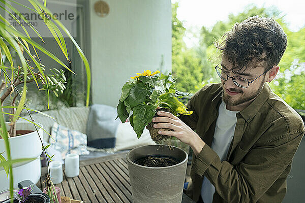 Smiling young handsome man gardening in balcony