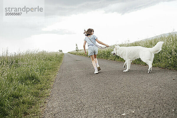 Girl running with Swiss Shepherd Dog on road near field