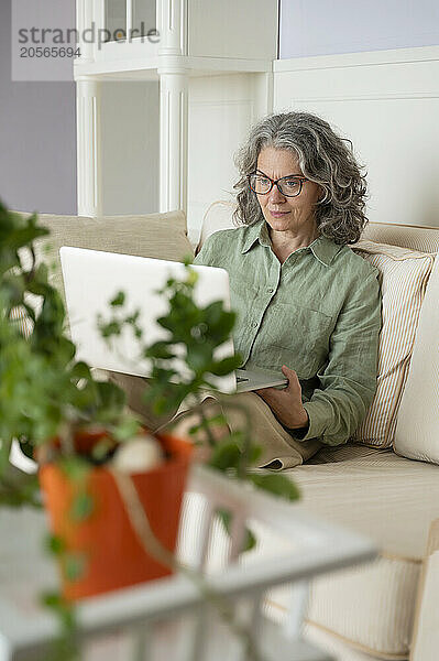 Focused businesswoman in eyeglasses sitting with laptop on sofa at home