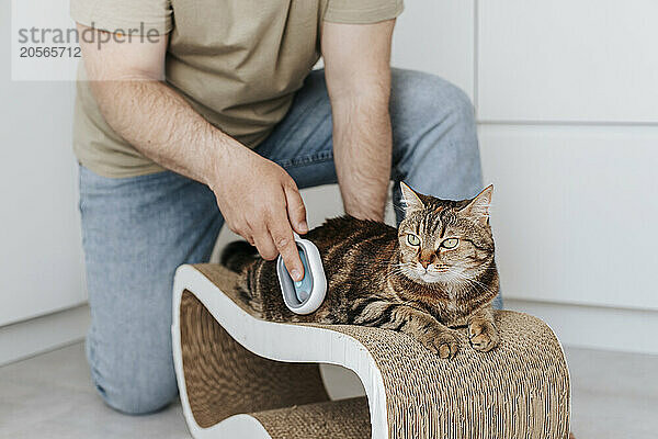 Man combing cat's fur with device at home