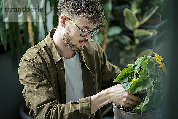 Young handsome man gardening at home