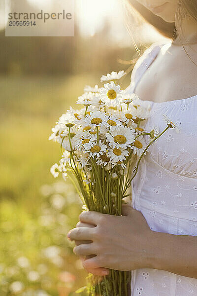 Woman holding bunch of fresh chamomile