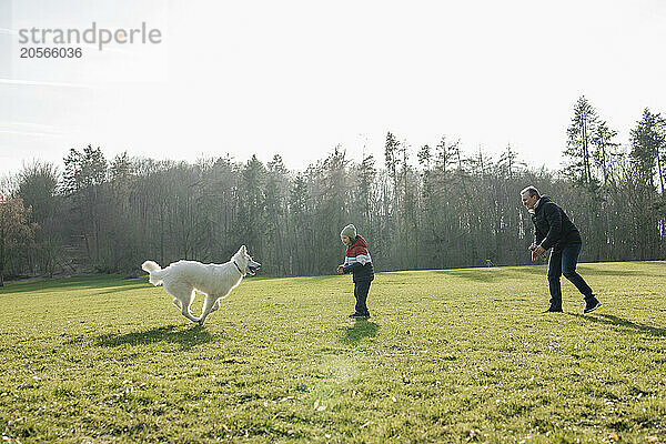 Father and son playing with dog in meadow at sunny day